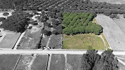 Terreno à venda em Vendas Novas, Vendas Novas
