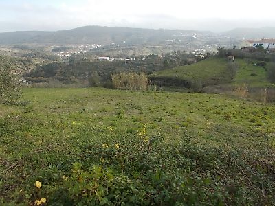 Terreno à venda em Reguengo do Fetal, Batalha
