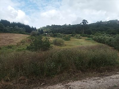 Terreno à venda em Porto de Mós - São João Baptista e São Pedro, Porto de Mós