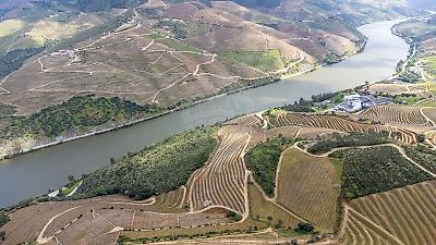 Terreno à venda em Vila Seca e Santo Adrião, Armamar