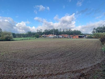 Terreno à venda em Arazede, Montemor-o-Velho
