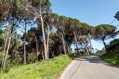Terreno à venda em Tavarede, Figueira da Foz