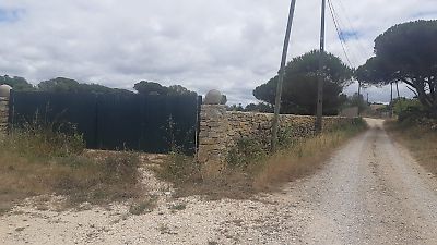 Terreno para arrendar em São João das Lampas e Terrugem, Sintra