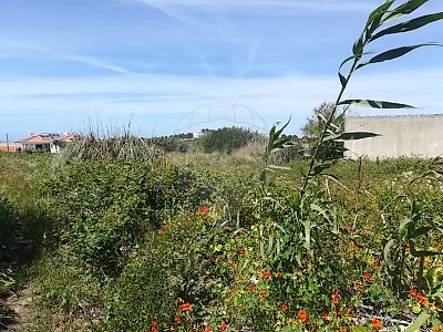 Terreno à venda em São João das Lampas e Terrugem, Sintra