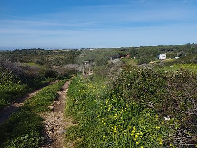 Terreno à venda em São João das Lampas e Terrugem, Sintra