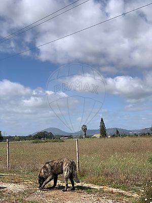 Terreno à venda em Palmela, Palmela