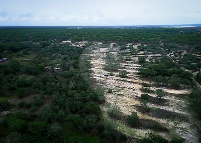 Terreno à venda em Poceirão e Marateca, Palmela
