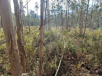 Terreno à venda em Sobrado, Valongo