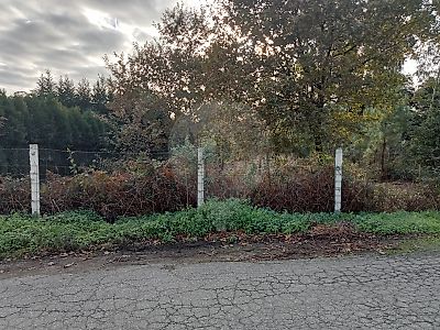 Terreno para arrendar em Argoncilhe, Santa Maria da Feira