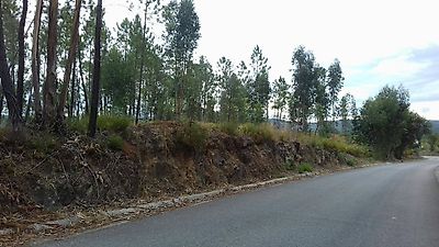 Terreno à venda em Sertã, Sertã