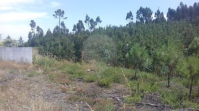 Terreno à venda em Cernache do Bonjardim, Nesperal e Palhais, Sertã