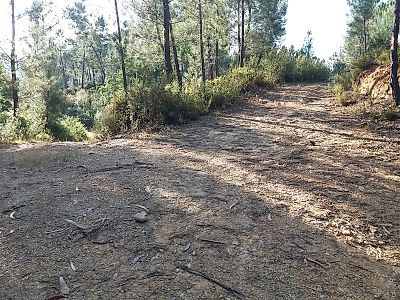 Terreno à venda em Montes da Senhora, Proença-a-Nova