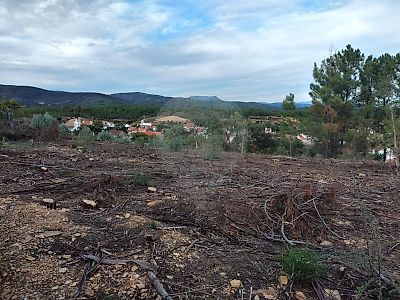 Terreno à venda em Sobreira Formosa e Alvito da Beira, Proença-a-Nova