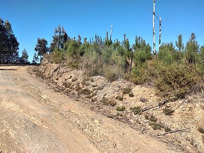 Terreno à venda em Várzea dos Cavaleiros, Sertã