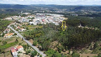 Terreno à venda em Sertã, Sertã