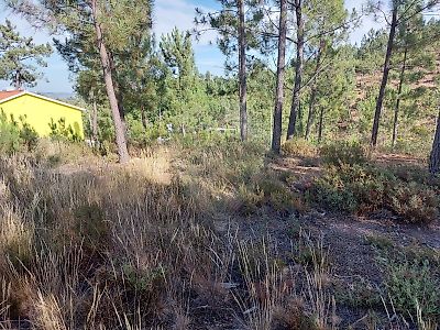 Terreno à venda em Vila de Rei, Vila de Rei