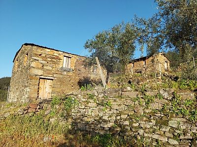 Terreno à venda em Sertã, Sertã