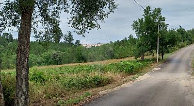 Terreno à venda em Sertã, Sertã