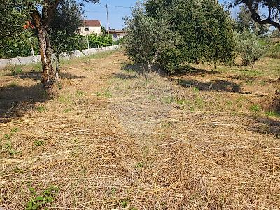 Terreno à venda em Cabeçudo, Sertã