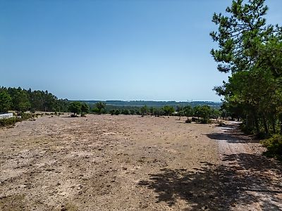  - foto 49