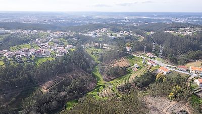  - foto 37