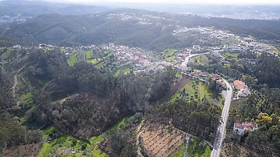  - foto 41