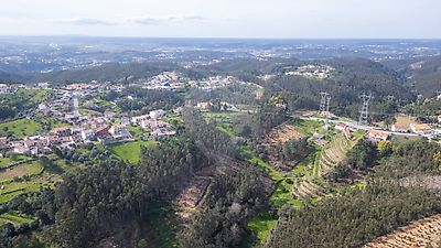  - foto 12