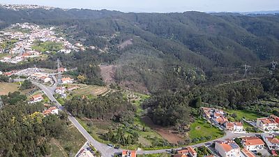  - foto 29