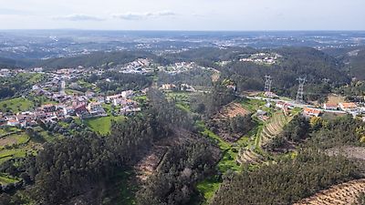  - foto 21
