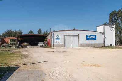  - foto 13