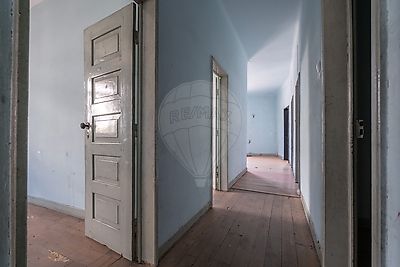  - foto 31