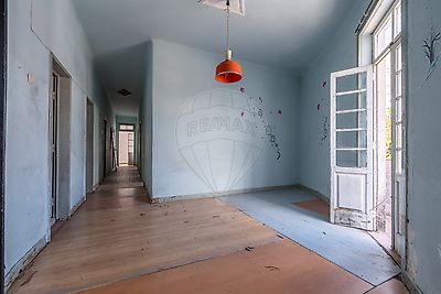  - foto 47