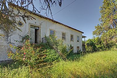 - foto 11