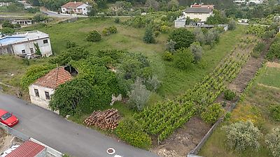 - foto 11