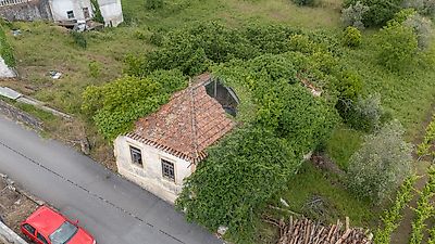 - foto 15