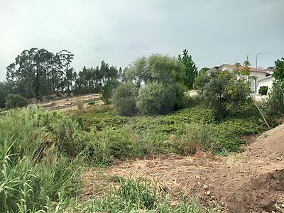  - foto 15