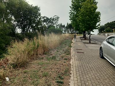 - foto 13