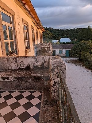  - foto 14