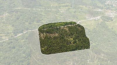 Terreno à venda em Santiago de Piães, Cinfães