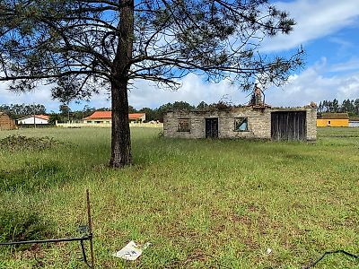 Quinta T2 à venda em Liceia, Montemor-o-Velho