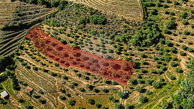 Terreno à venda em Adorigo, Tabuaço