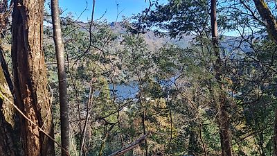 Terreno à venda em Salamonde, Vieira do Minho