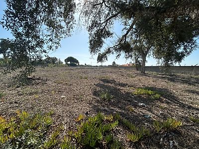 Terreno à venda em Azeitão (São Lourenço e São Simão), Setúbal