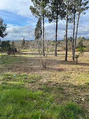 Terreno à venda em Mangualde, Mesquitela e Cunha Alta, Mangualde