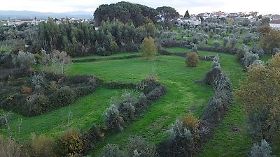 Terreno à venda em Seixo da Beira, Oliveira do Hospital