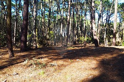 Terreno à venda em Colares, Sintra