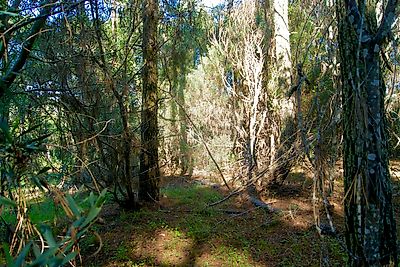Terreno à venda em Colares, Sintra
