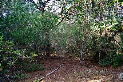 Terreno à venda em Colares, Sintra