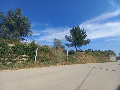Terreno à venda em Ovoa e Vimieiro, Santa Comba Dão