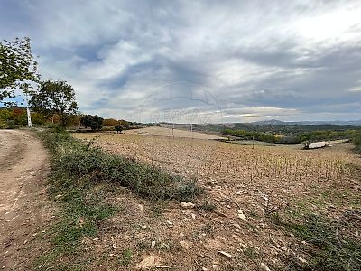 Terreno à venda em Parada e Faílde, Bragança RE/MAX Portugal